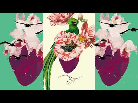 November Project ❤️ Rewolucja Serc