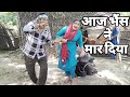 The Buffalo Killed Him In The Middle Of The Song Bollywood Song Song Siraj Ashu Bachchan