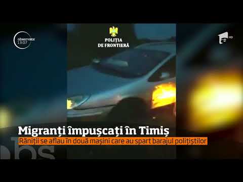 S-au tras focuri de armă la ieşirea din localitatea Denta din judeţul Timiş!