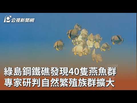 youtube影片
