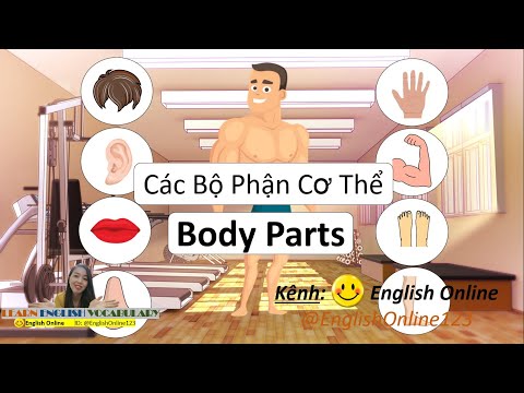 Từ vựng Tiếng Anh: Tên Các Bộ Phận Cơ Thể - ボディパーツ