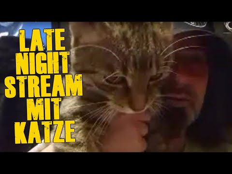 LATE NIGHT Stream nachm feinen Abend I MIT Katze