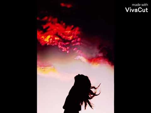 SSE aka HEX : 🌷aliria🌷