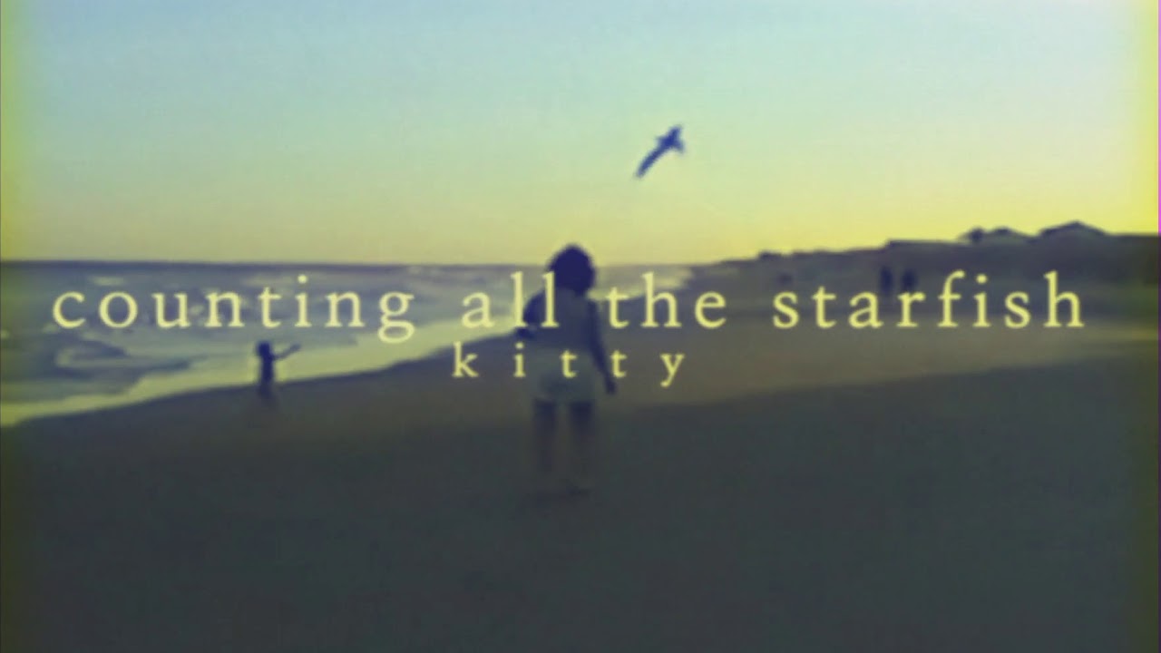 Kitty - Counting All the Starfish