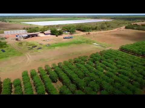 FAZENDA EM BARAÚNA - RN