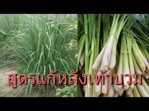 กลากจุลินทรีย์เป็นโรคติดต่อ ไม่ว่าจะเป็นกลากสามารถส่งผ่านตัวเอง