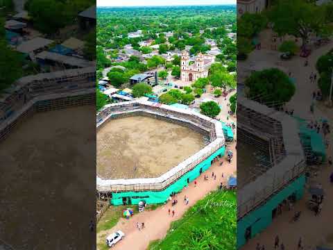 Fiestas San pedro- el piñon Magdalena, corralejas y más