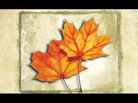 Lời từ biệt tình yêu - Lê Hiếu