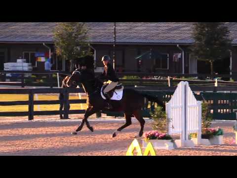 CASANOVA 513 ~ Casall x Contender