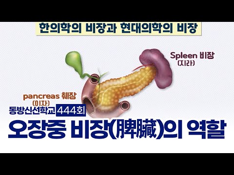 기초(숨) 수행과정