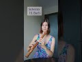 Badinerie (Scherzo in B minor) / J.S. Bach / recorder alto