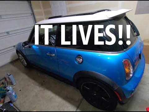 My $1450 Mini Cooper S RUNS! R53 Mini Cooper clutch install and more!! Project Update #2