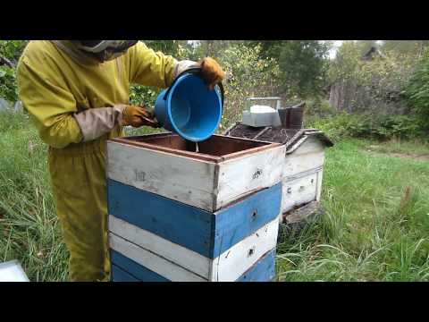 Пчеловодство.Как пчёлы выбрали сироп. Американский способ закормки пчёл сиропом в зиму.