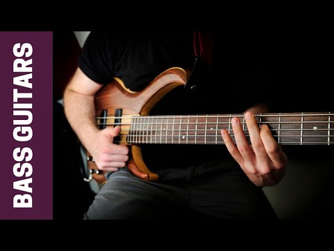 Best Bass Guitars You Can Buy in  2023 - Options for all Budgets and Styles