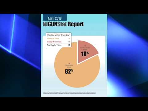 Publicizing Gun Data