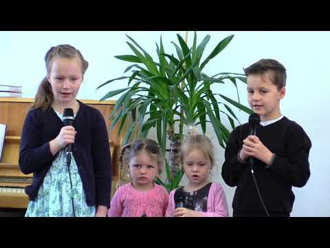 Ranní zpestření - Sikorovi