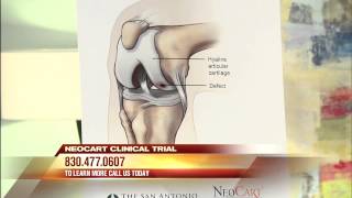 Knee Pain? NeoCart Clinical Trial Seeking Participants in San Antonio, TX
