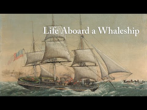 Life Aboard a Whaleship at the Nantucket Whaling Museum