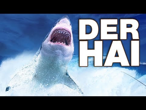The Shark - Anatomy and Biology | Alternative Facts for Presentations | Parody