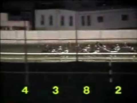 1988 Meadowlands MATTS SCOOTER Meadowlands Pace