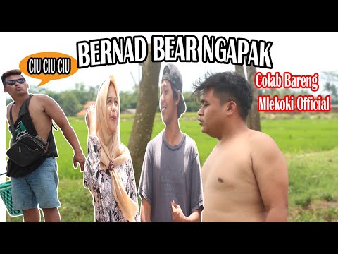 film-pendek-bernad-bear-ngapak-ft-mlekoki-official
