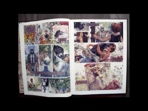 BLACKSAD | BOOKGLOBE