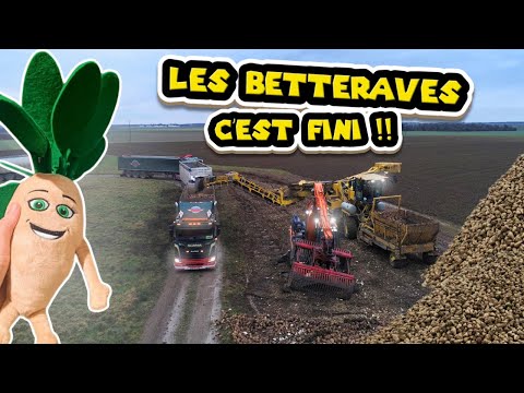 FINITO LES BETTERAVES !!