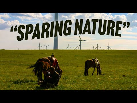 Is the economy dematerializing?