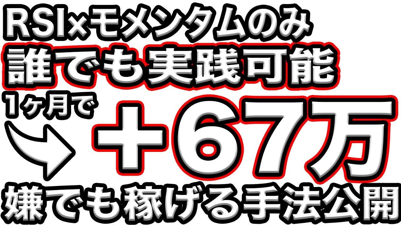 この動画を真似するだけ！初心者が1日2時間で月67万円の利益を出した超シンプルな手法公開！