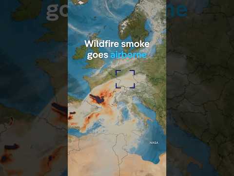 Wildfires make climate change worse | DW News