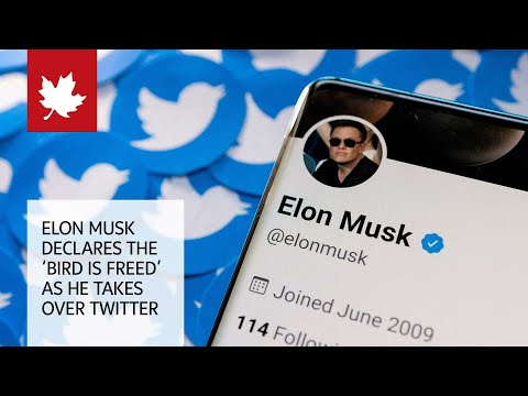 Elon Musk's Twitter ownership starts with firings of top executives
