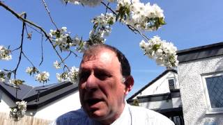 Magna Carta call to businesses along The Thames