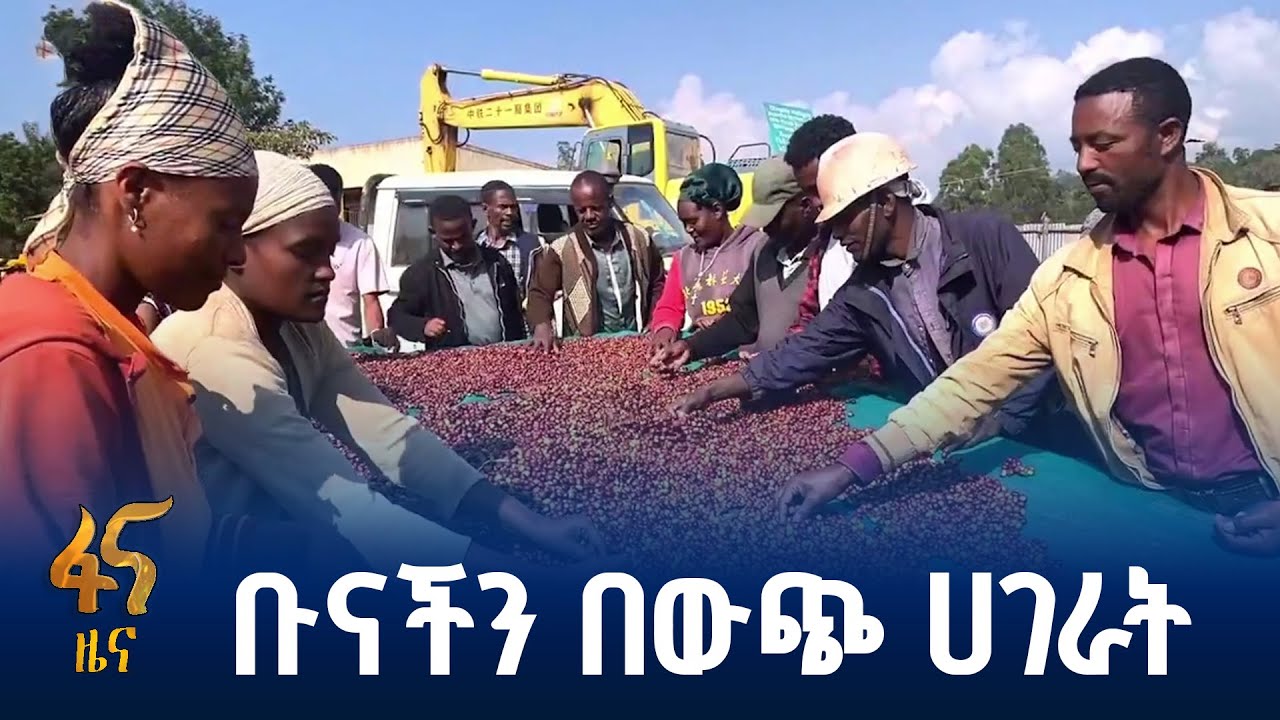 ቡናን ለማዕከላዊ ገበያ