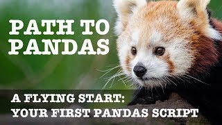 Your First Pandas Script