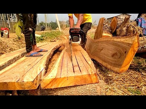 Stihl MS881, Husqvarna 3120xp and Holzfforma G888 - 120cc class big chainsaws !!!