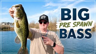 BIG PRESPAWN BASS in a HIDDEN CLEAR WATER POND! | Fort Worth Texas Bass Fishing