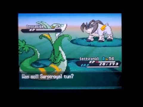 Let´s Play Pokemon Schwarz und Weiß 2 German Blind Part 37 Der Unterseetunnel