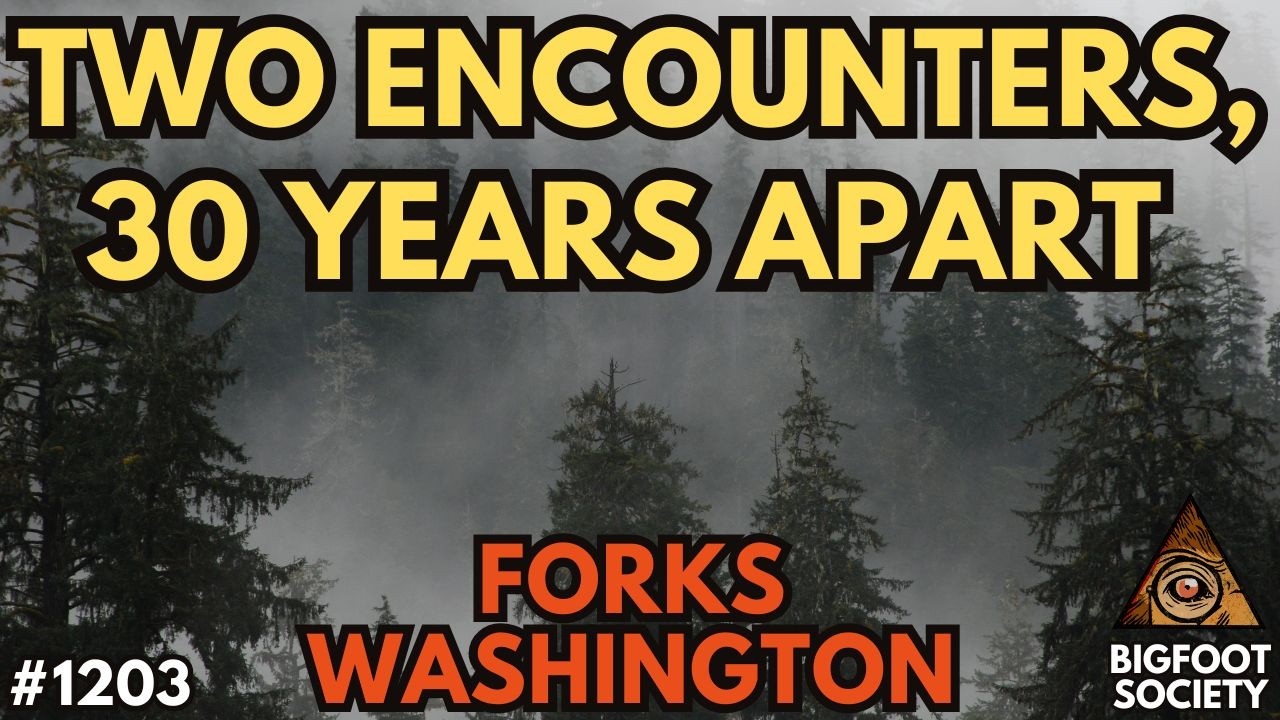 A 12-Year-Old Heard Something Scream Near Forks—Then Everyone Started Leaving