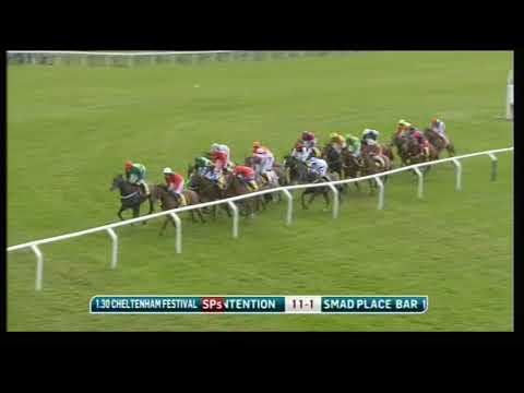 2011 JCB Triumph Hurdle - Cheltenham Festival