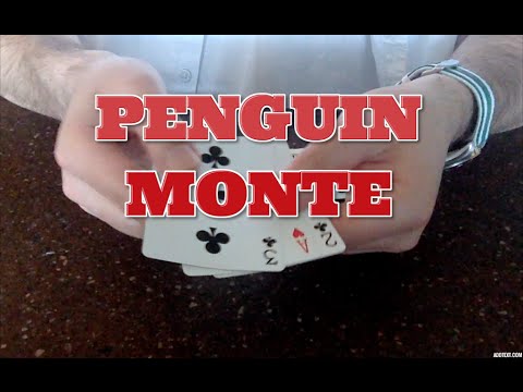 Penguin Monte by Rick Lax