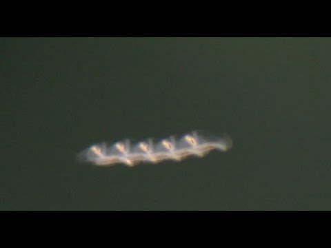 Jordan Maxwell | Skyfish Rods | Cryptozoology