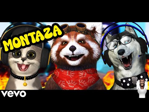 FLAFY X MARFY X MISTY - SKIBIDI PESMA (MONTAZA)