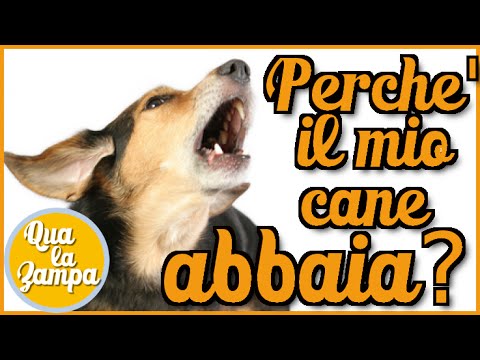 Risposte di persona di perforazione laser Massaggio facciale che si solleva di video a