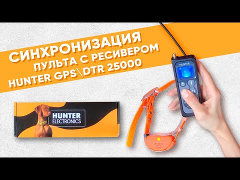 Синхронизация пульта с ошейником Hunter GPS/DTR 25000
