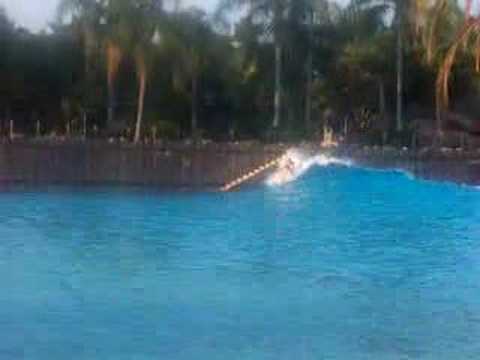 ryan surfing the goon