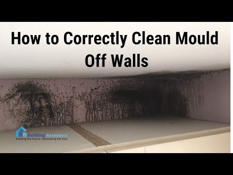The correct way to Clean Mould off Walls