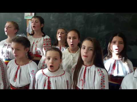 Hai sa-ntindem hora mare - SCOALA  GIMNAZIALA BOZIENI