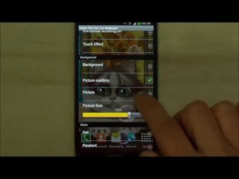 Animated Kitten Live Wallpaper Video