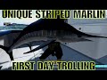 First Unique Striped Marlin Epic Fight On Kaiji No Ri Fishing Planet