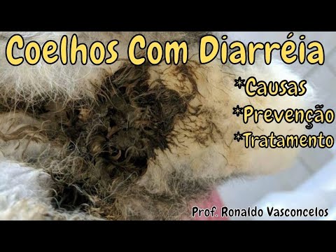 , title : 'Coelhos Com Diarréia, Como tratar?'